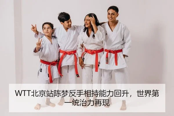 bei-jing-zhan-chen-meng-fan-shou-xiang-chi-neng-li-hui-sheng-shi-jie-di-yi-tong-zhi-li-zai-xian-2-545.jpg